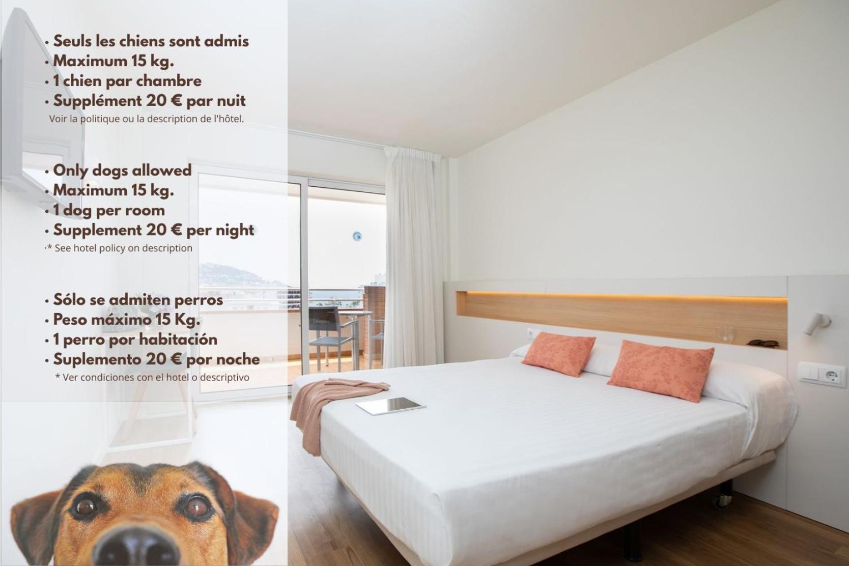Double or Twin Room,925596649:JPEG